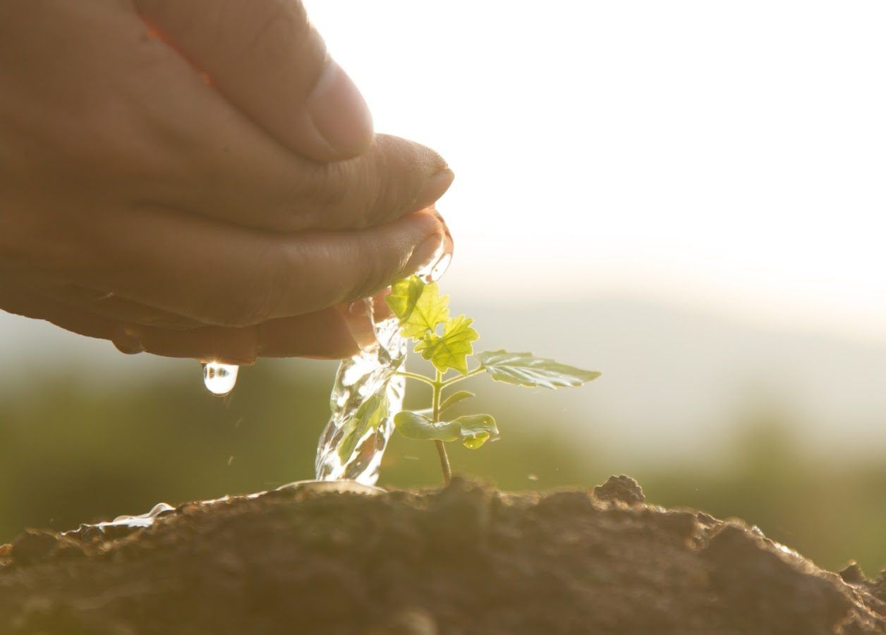 Glückliche Mitarbeiter in sauberer Arbeitsumgebung